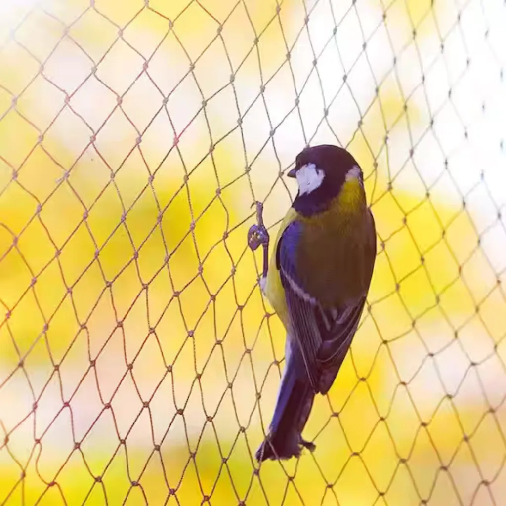 Bird netting installed on a residential balcony to stop pigeons